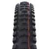 SCHWALBE BIG BETTY 20 X 2.25 SUPER GROUND ADDIX SOFT
