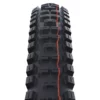 SCHWALBE BIG BETTY 24 X 2.4 SUPER GROUND ADDIX SOFT -Pneus Soldes 2022 A22TISCHBETTY24 2000